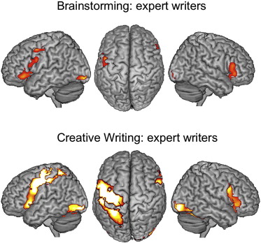 Writing Process and Reference Flaps by Teaching Every Brain